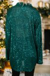 107127-It-s-A-Long-Story-Deep-Green-Sequin-Blouse