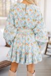 116043.Stay-Close-Light-Blue-Floral-Dress__copy_2