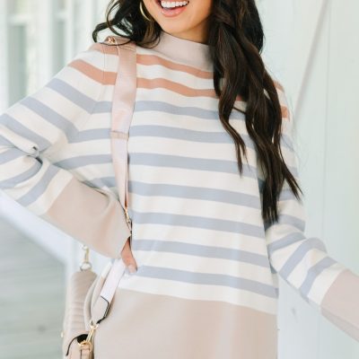 110507.Make-Your-Day-Taupe-Brown-Striped-Sweater__copy_1